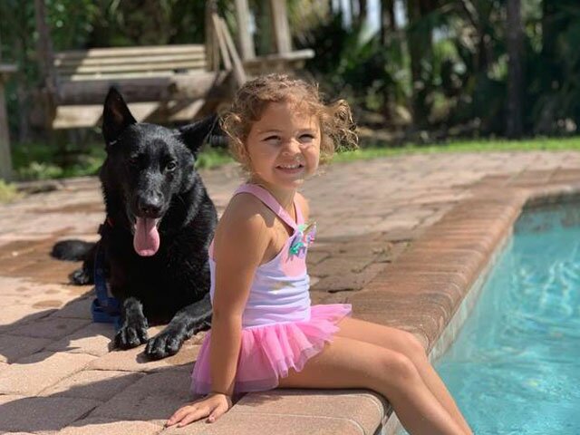 Kid Safe Family Protection Dog