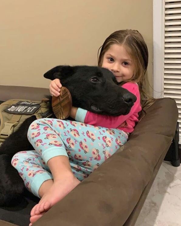 Axel Family Protection Dog