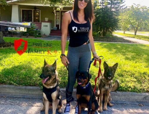 Best Guard Dogs for Families