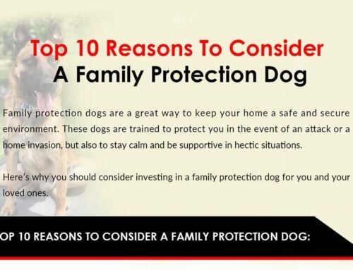 Top 10 Reasons To Consider A Family Protection Dog