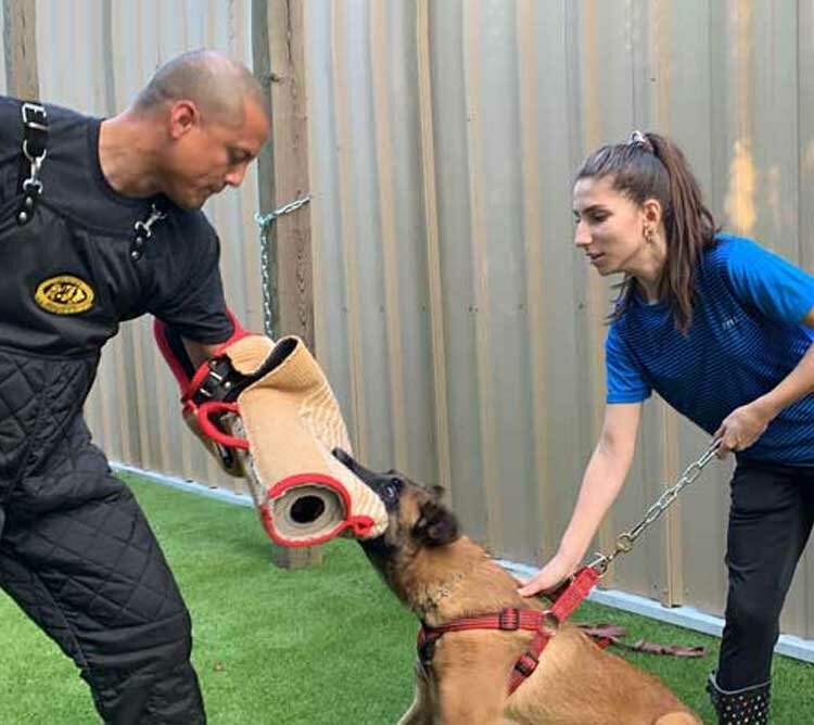 Fine Line Family K9 Dog Training Programs