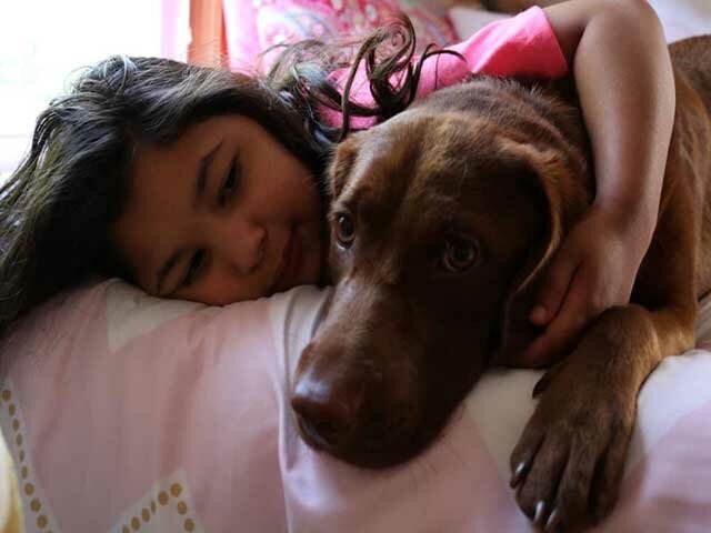 Mia Service Dog