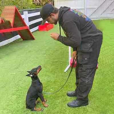 jake-master-dog-trainer Jake Master Dog trainer with puppy
