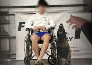 Belgian Malinois Family Protection Dog Bren Wheelchair