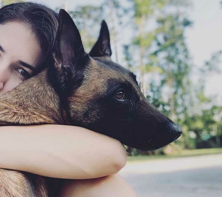 Fine Line Family K9 Dog Training Programs