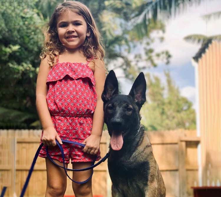 Fine Line Family K9 Dog Training Programs