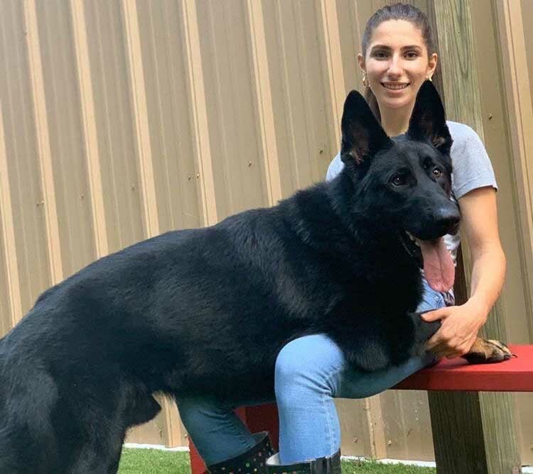 Fine Line Family K9 Dog Training Programs