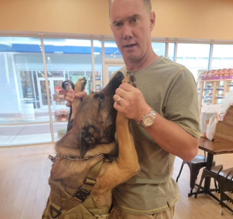 German Shephard Family Protection Sold Protection Dogs