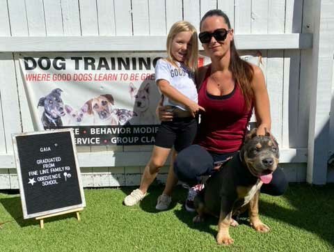 Fine Line Family K9 Dog Training Programs