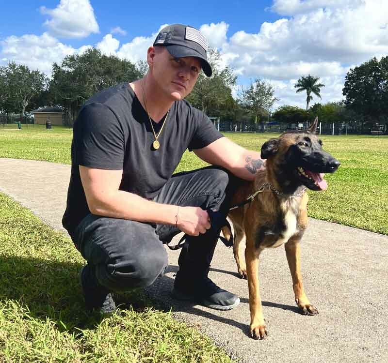 German Shephard Family Protection Sold Protection Dogs